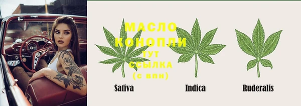 ешки Алексин