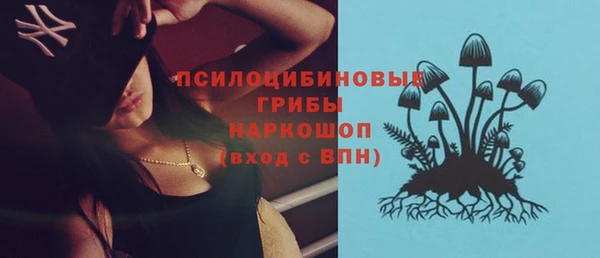 дурь Губаха