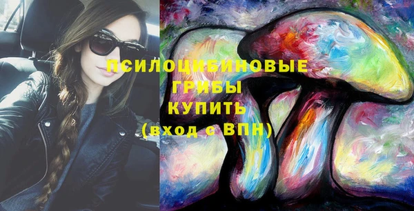 ешки Алексин