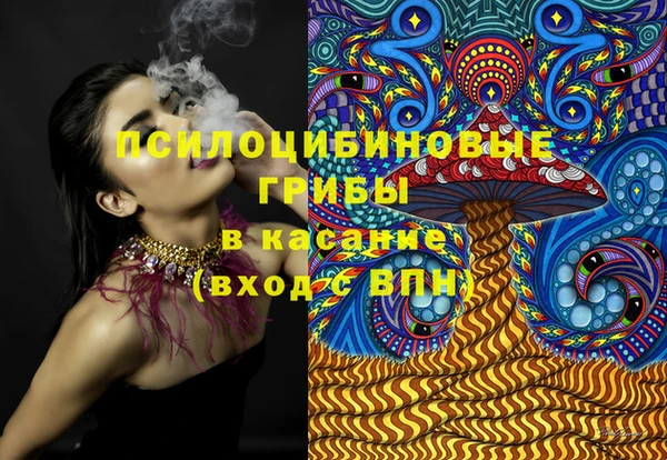 тгк Грязовец