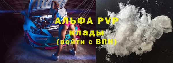 крисы Алзамай