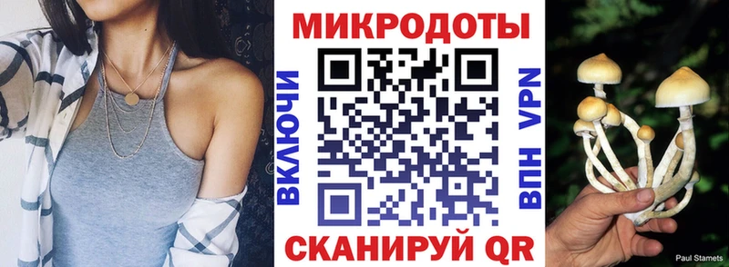 где купить наркоту  Талица  Галлюциногенные грибы Magic Shrooms 